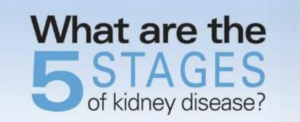 Stages Of Kidney Disease