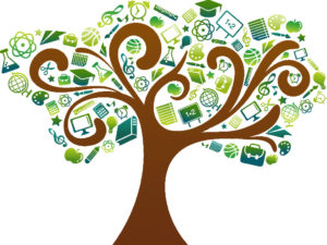 Kidney Disease Resources