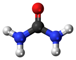 Urea Hydrolysis