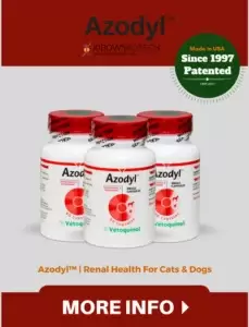 azodyl for cats