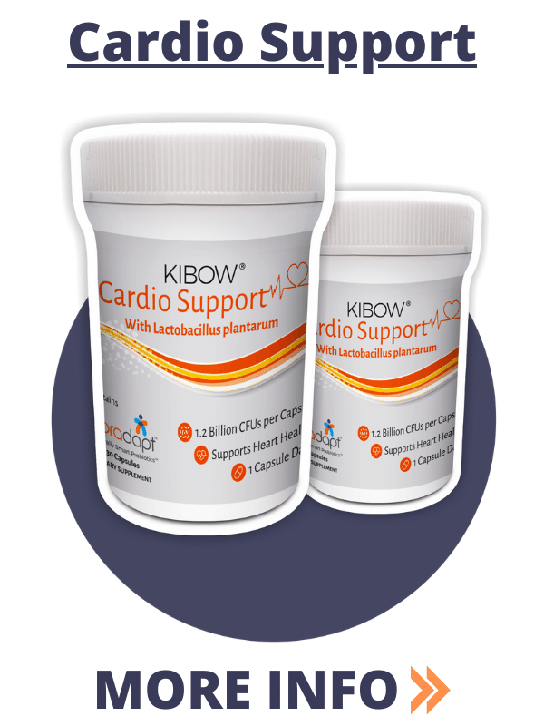 kibowcardio
